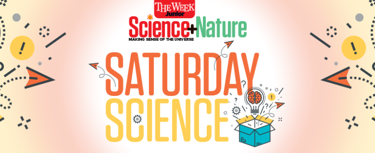 Science+Nature Banner